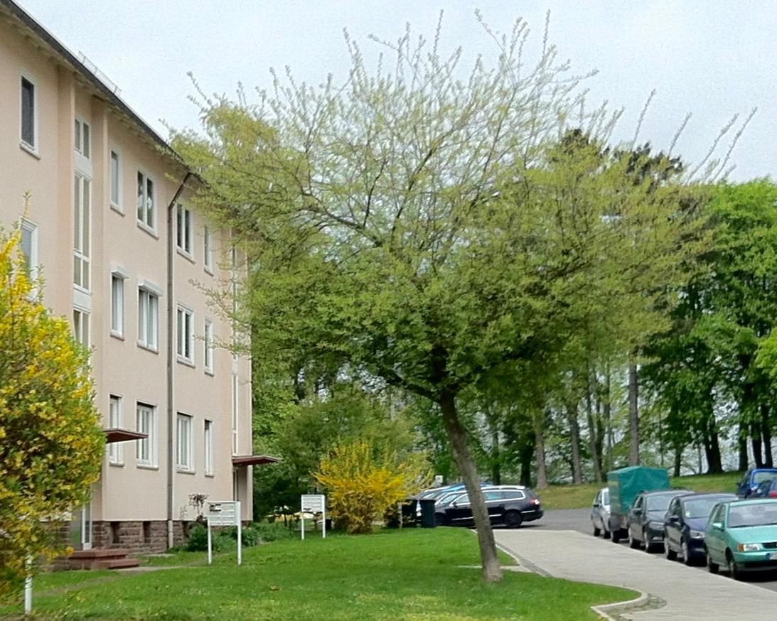 Ask Rooms Privatzimmer In Kassel Kültér fotó